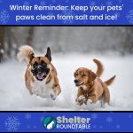 winter reminder