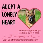 adopt a lonely heart