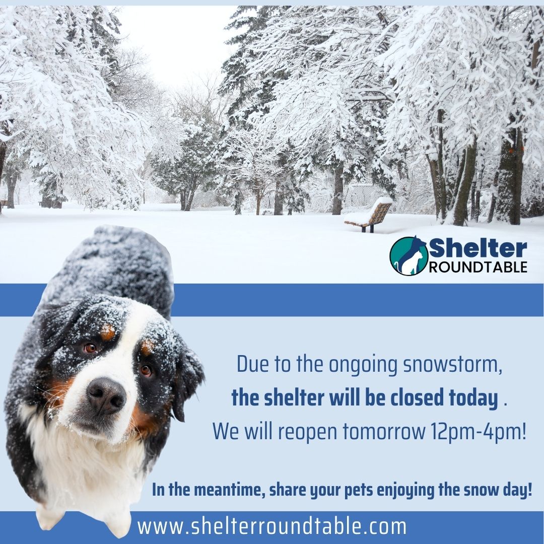 shelter closed due to snowstorm shelter closed due to snowstorm