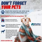 cold weather dont forget pets