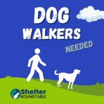 dog walkers needed