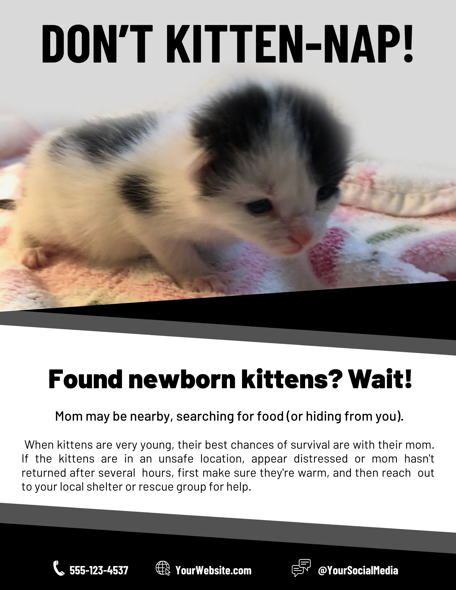 don’t kitten nap flyer 01