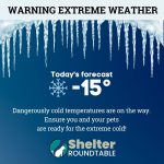 extreme cold weather - protect your pets