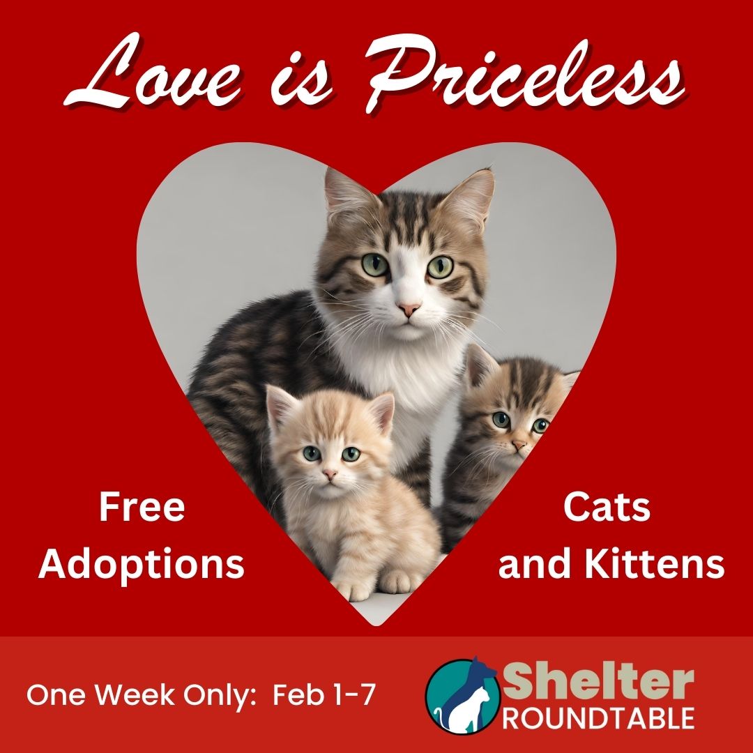 love is priceless love is priceless