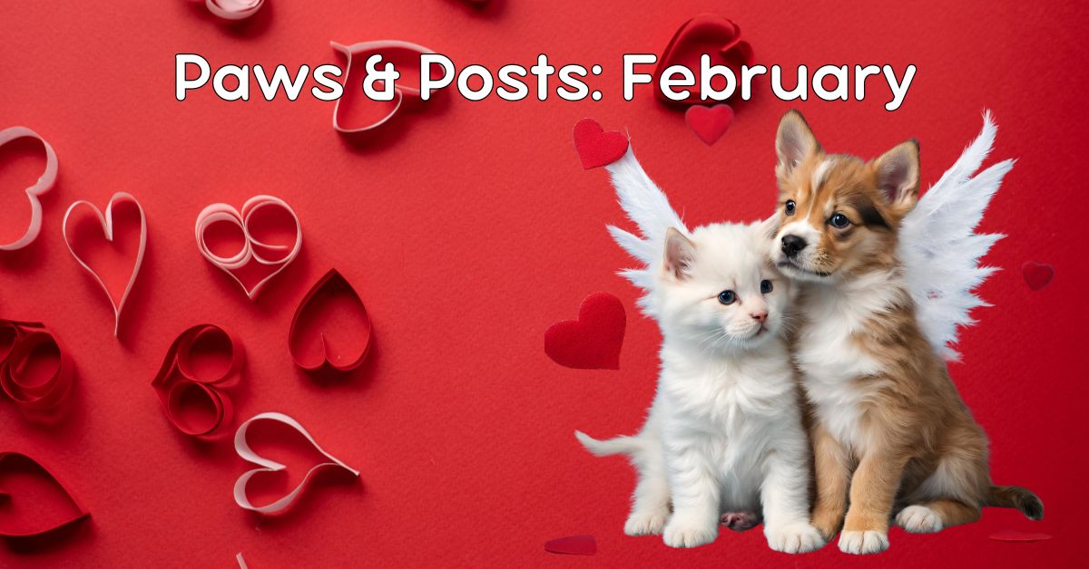 paws posts february