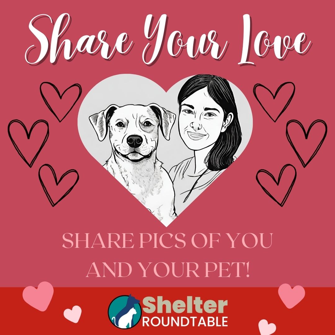 share your love share your love