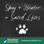 spay and neuter saves lives