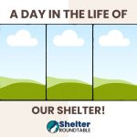 a day in the life at our shelter