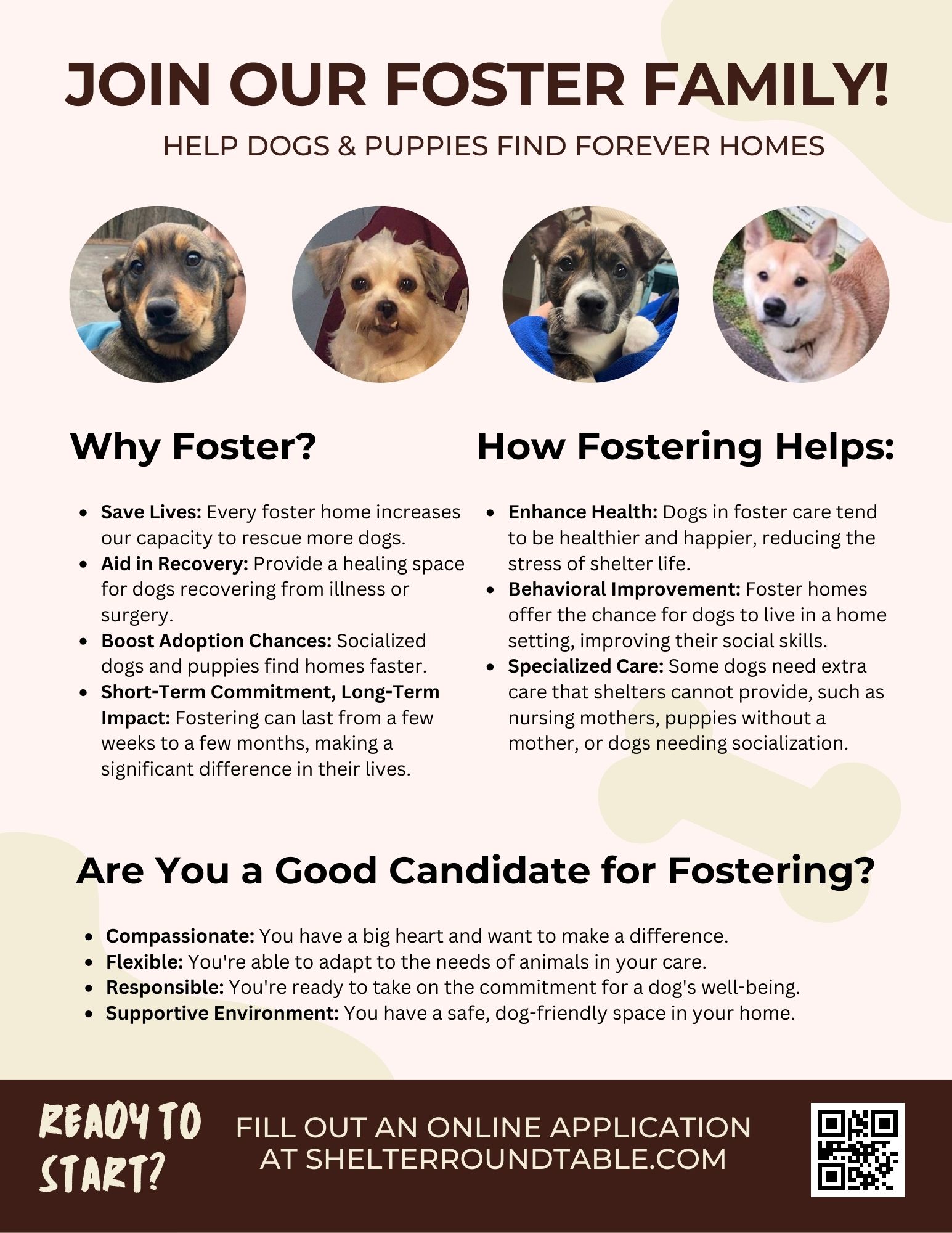 join our dog foster family