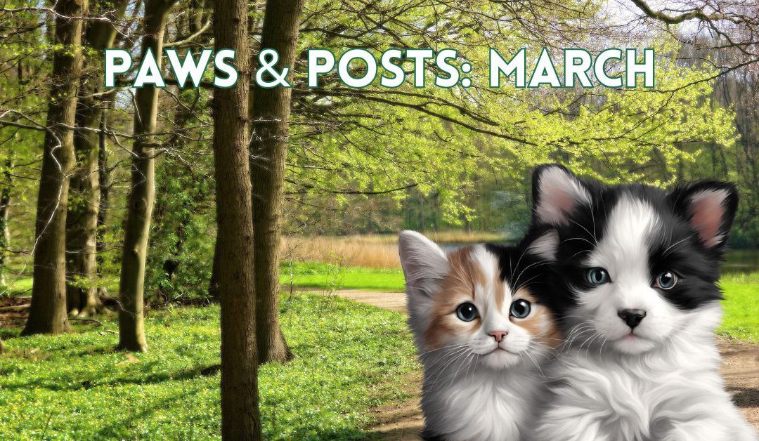 Paws & Posts: March Social Media, Blog, and Video Plan