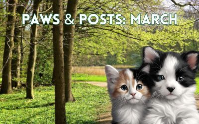 Paws & Posts: March Social Media and Promotion Plan