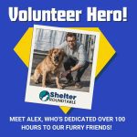 volunteer hero
