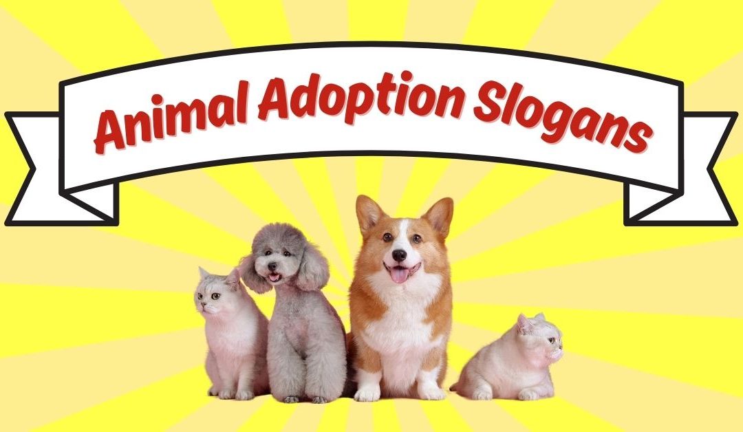 Inspiring Animal Adoption Slogans