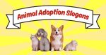 animal adoption slogans