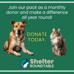 become a monthly donor