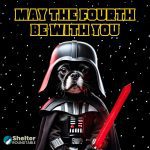 may the fourth be with you