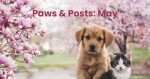 paws posts may