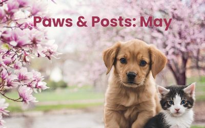 Paws & Posts: May Social Media, Blog, and Video Ideas