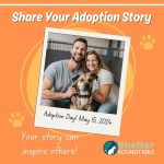 share adoption story