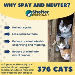 why spayneuter