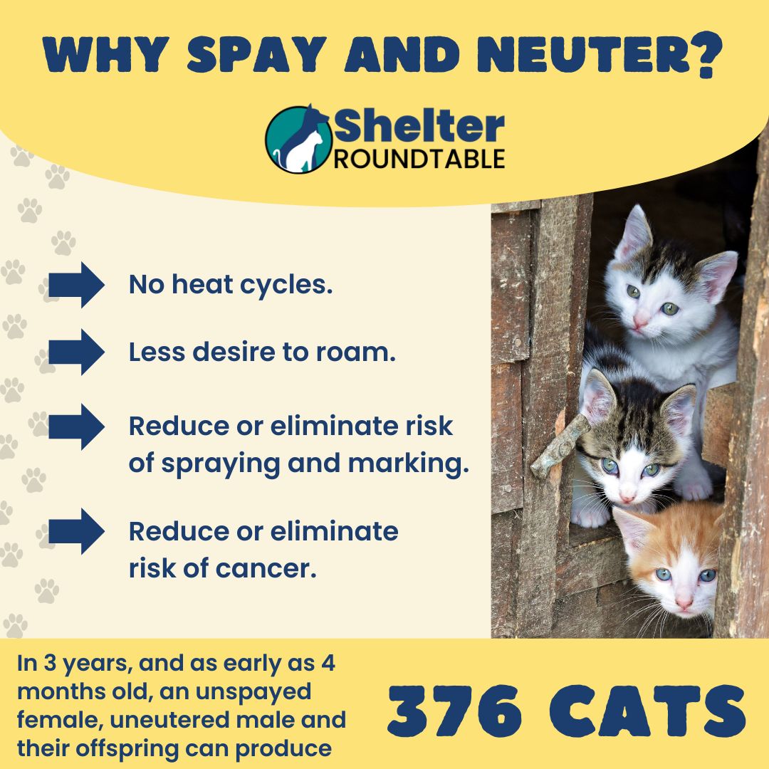 Why Spay And Neuter? - Shelter Roundtable