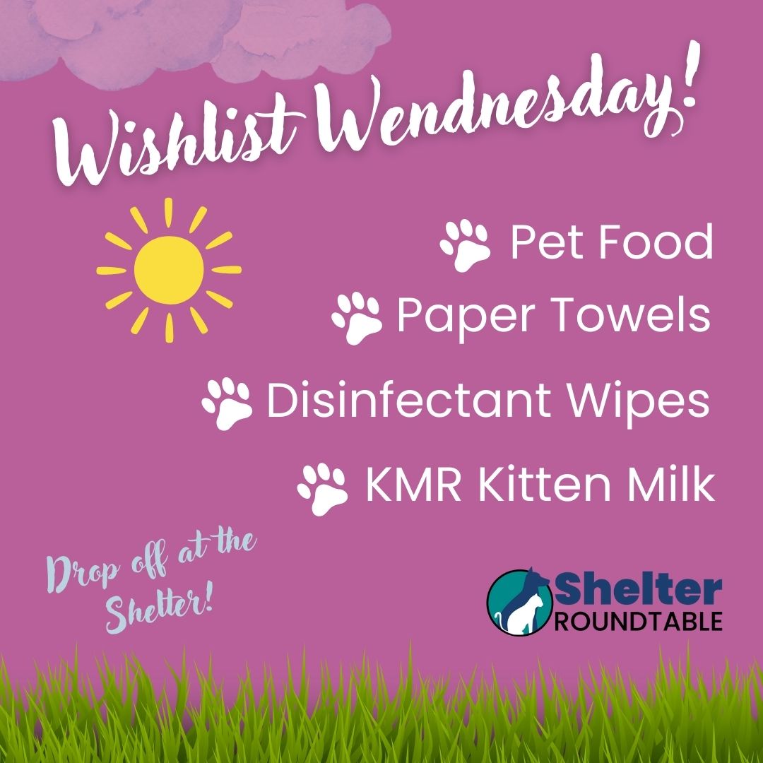 wishlist wednesday wishlist wednesday