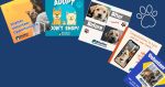 canva tips animal shelters