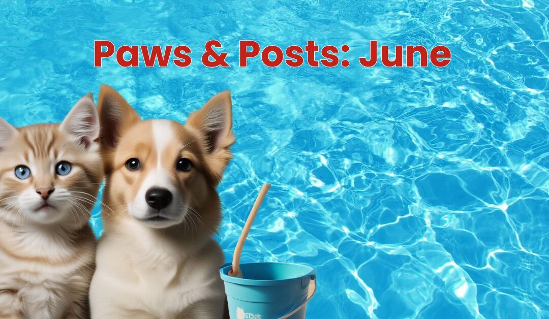 Paws & Posts: June Social Media, Blog, and Video Ideas