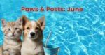 paws posts june