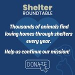 support shelter