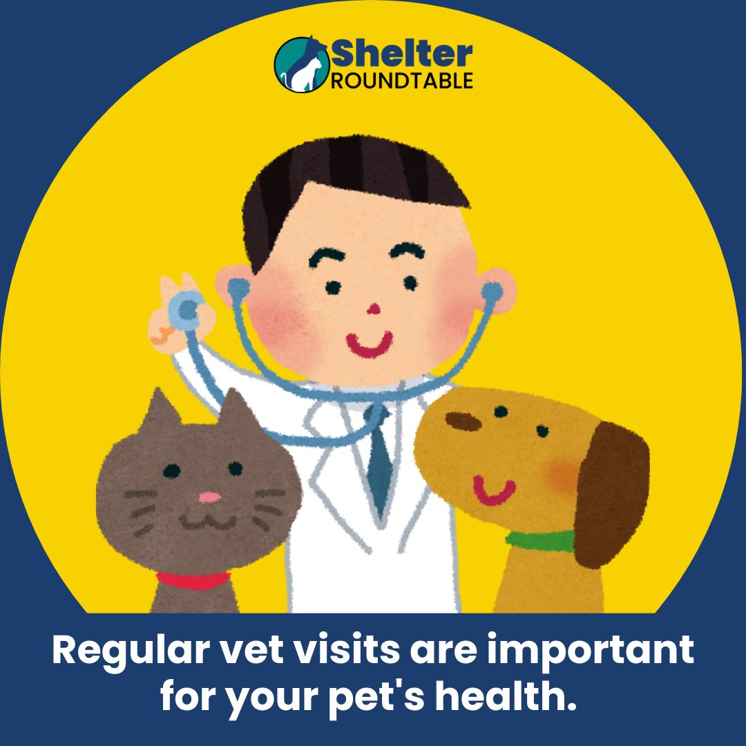 regular-vet-visits-shelter-roundtable