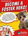 become a foster hero flyer