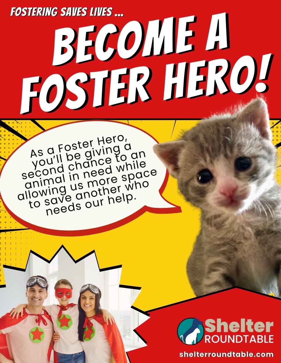 become a foster hero flyer