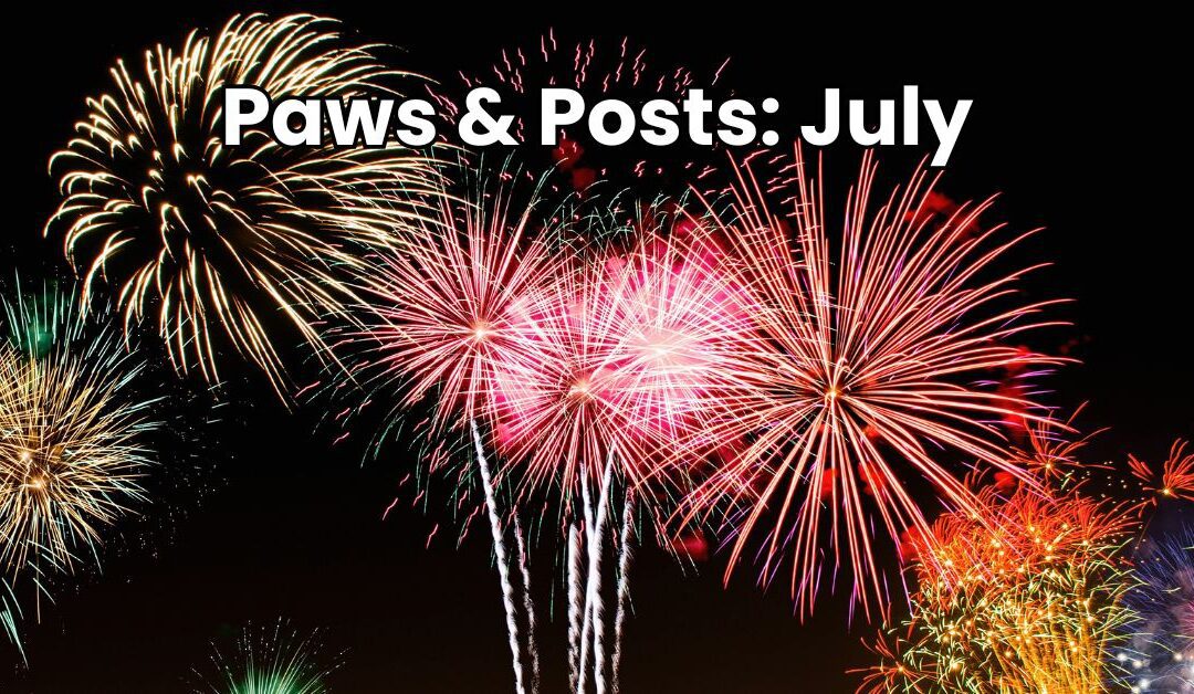 Paws & Posts: July Social Media, Blog, and Video Ideas