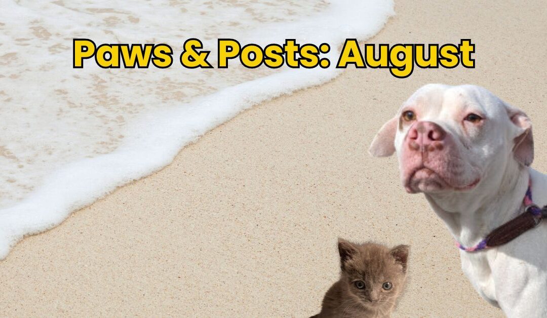 Paws & Posts: August