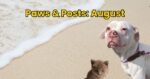 paws posts august