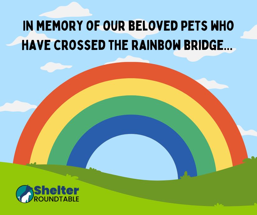 in memory of in memory of