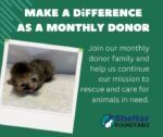 monthly donor