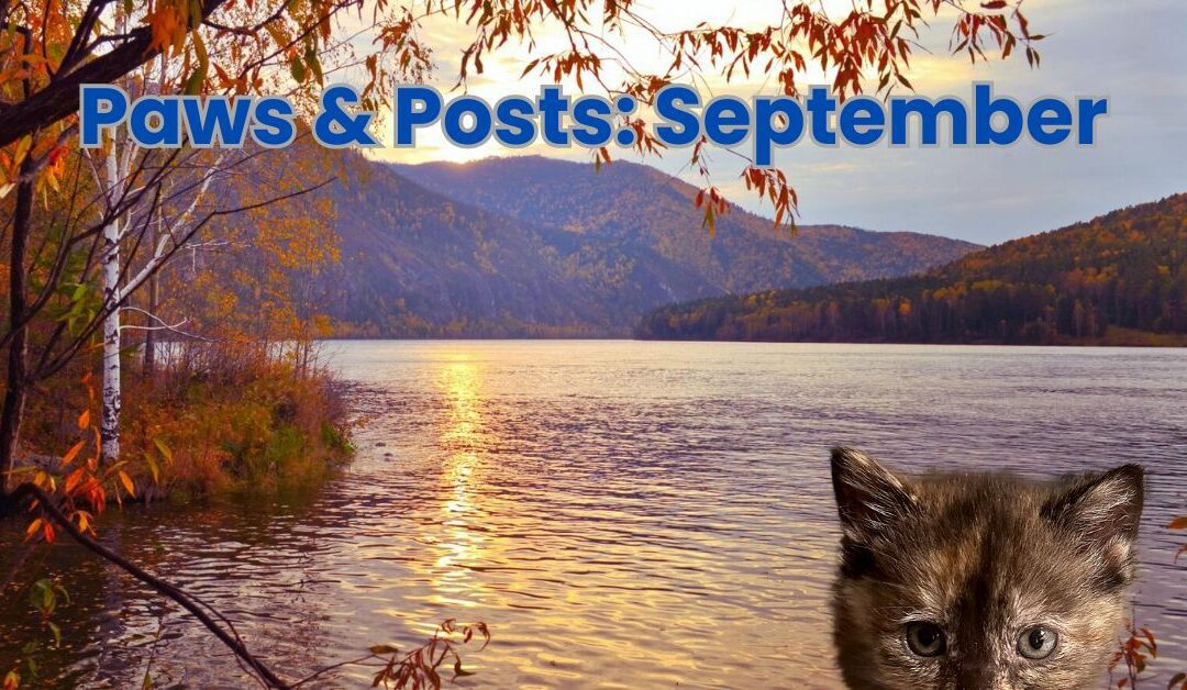 Paws & Posts: September