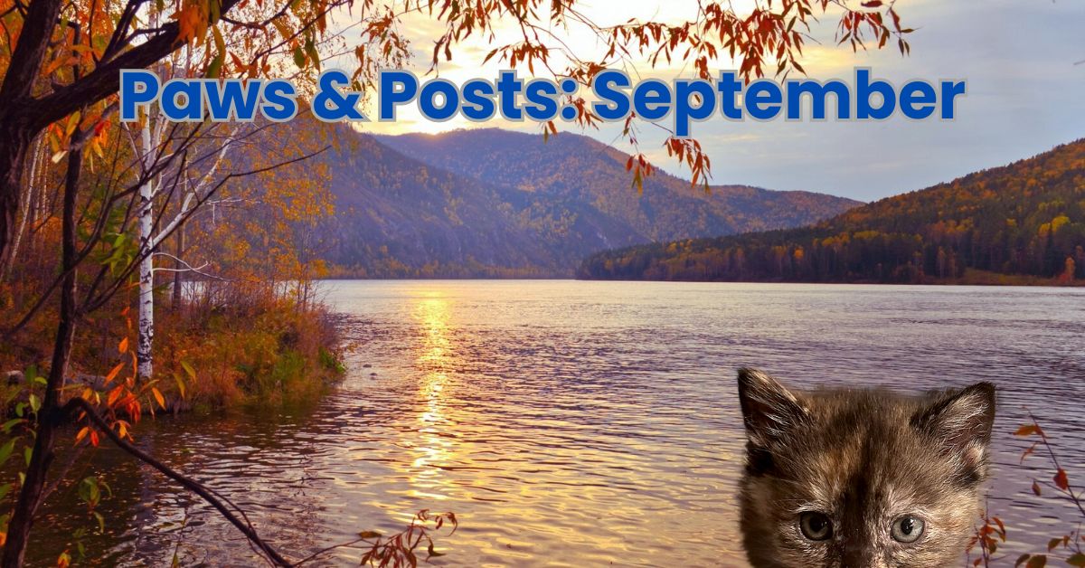 paws post september