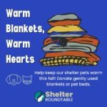 warm blankets, warm hearts