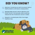 did you know spaying