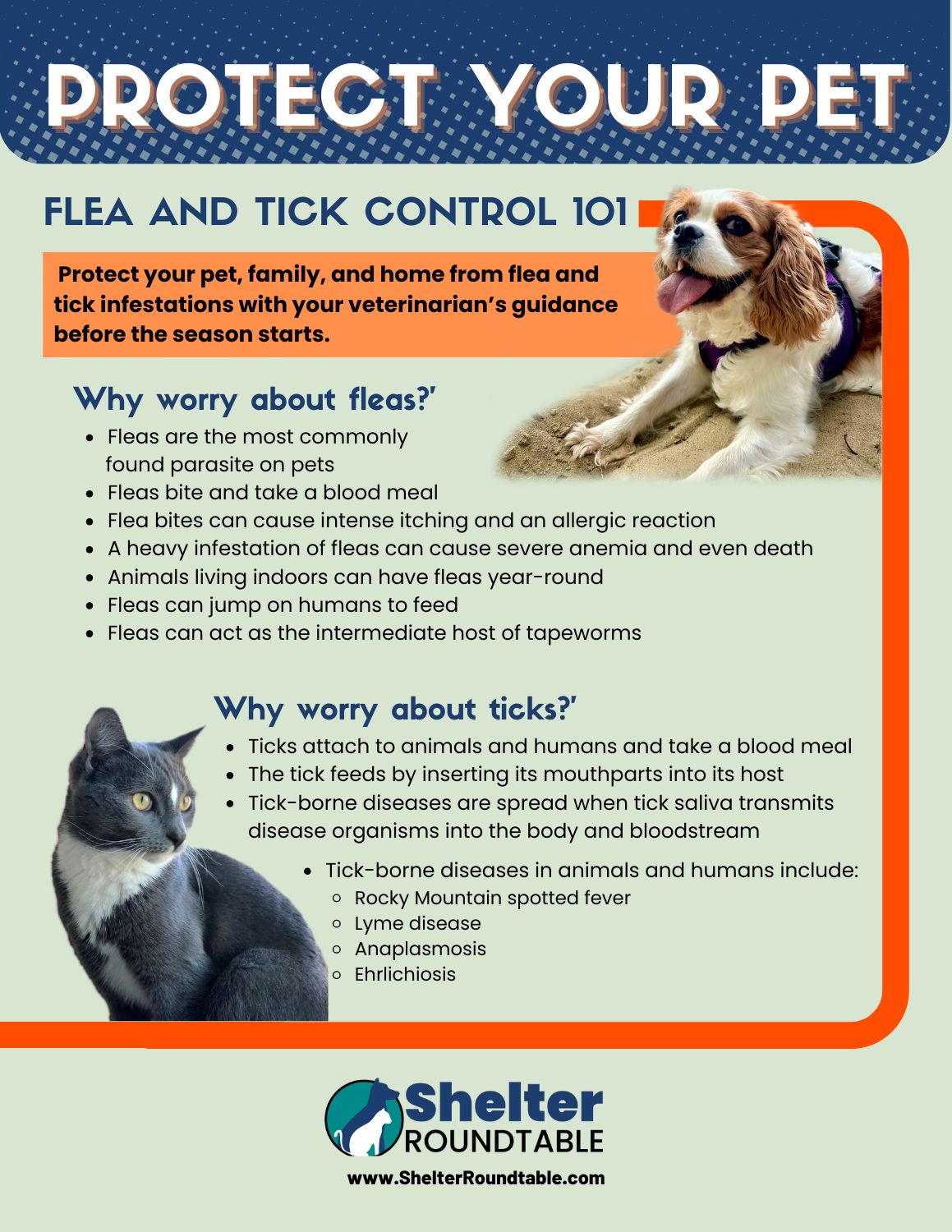 flea and tick control 101 flyer