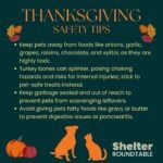 thanksgiving holiday safety tips