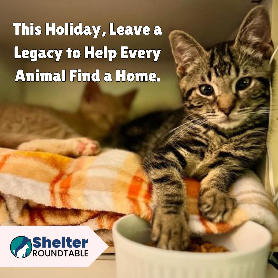 leave a holiday legacy leave a holiday legacy