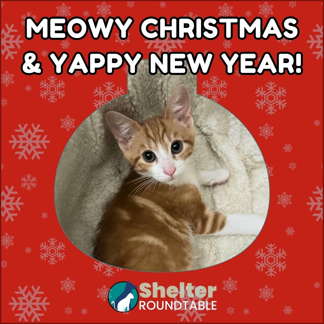 meowy christmas & yappy new year! meowy christmas & yappy new year!
