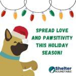 spread love and pawsitivity this christmas!