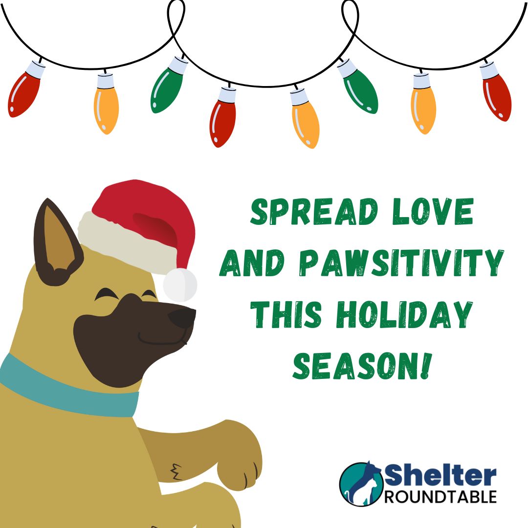 spread love and pawsitivity this christmas! spread love and pawsitivity this christmas!