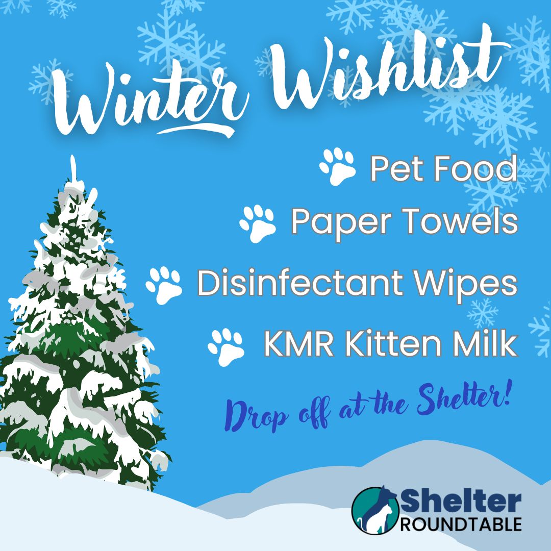 winter wishlist winter wishlist