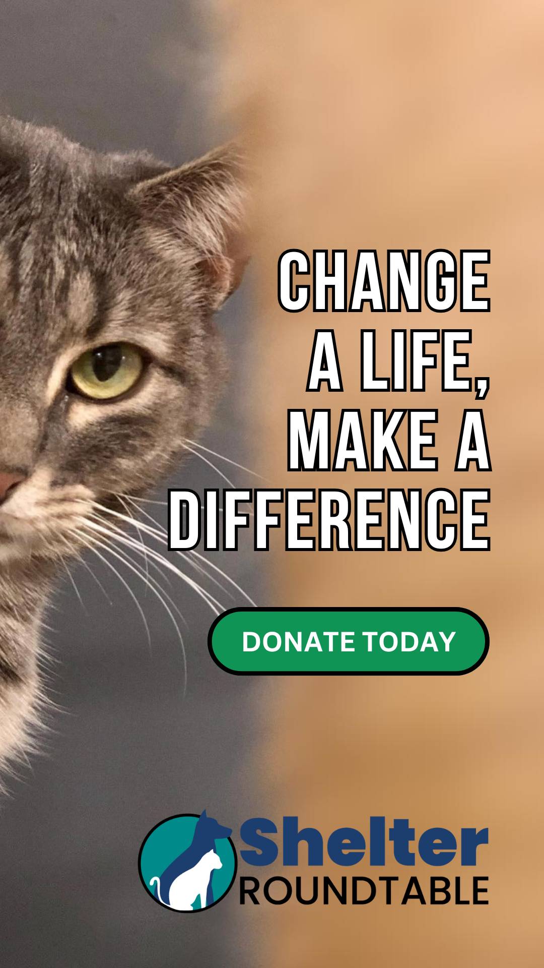 change a life, donate today video